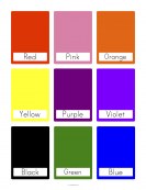 Color Flash Cards